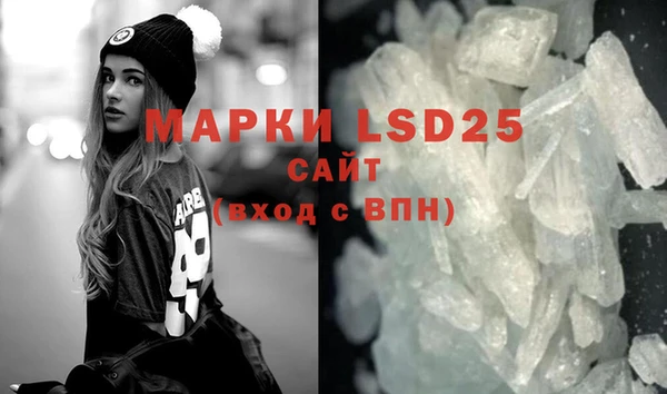 индика Вязьма