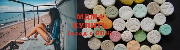 индика Вязьма