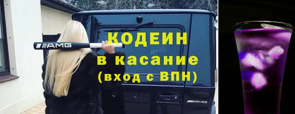 индика Вязьма