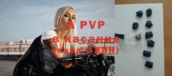 индика Вязьма