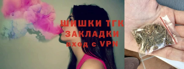 индика Вязьма