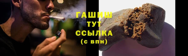 индика Вязьма