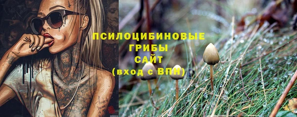 a pvp Вяземский