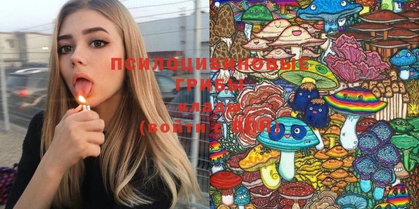прущие крисы Вязники