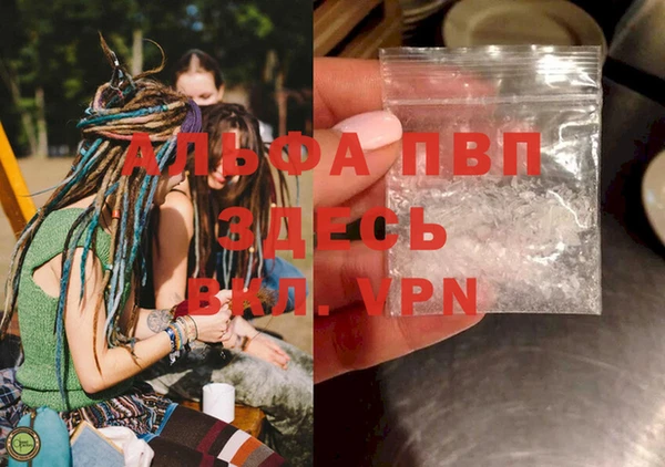 индика Вязьма