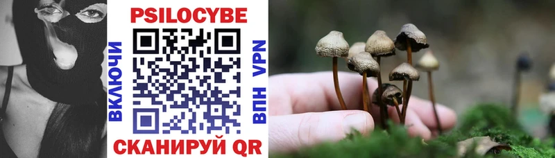 где купить наркоту  Пушкино  hydra ССЫЛКА  Псилоцибиновые грибы ЛСД 